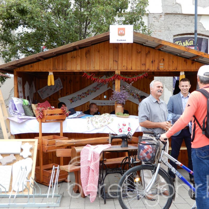 Helyi Értékek Startja 35